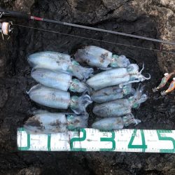 2022 佐渡ヶ島エギング 21回目【10月1日】