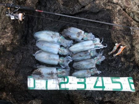 2022 佐渡ヶ島エギング 21回目【10月1日】