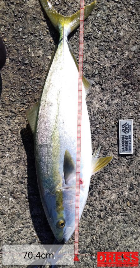 飲ませでメジロ