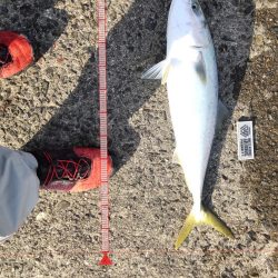 友人と武庫川一文字へ