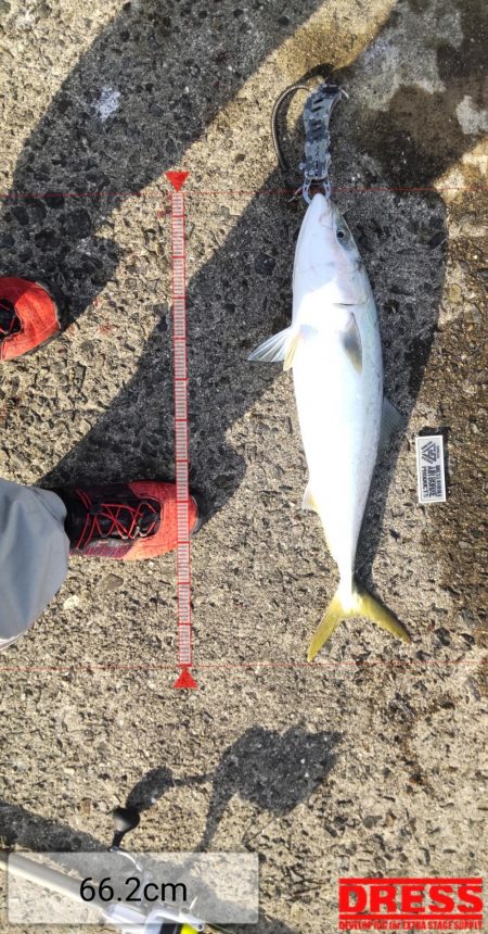 友人と武庫川一文字へ