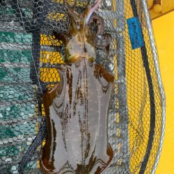 珍しく正午前後