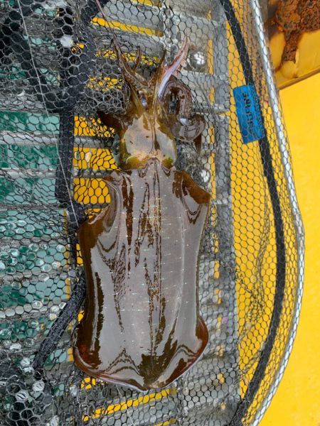 珍しく正午前後