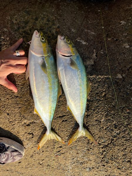 必殺ストアサフラブー