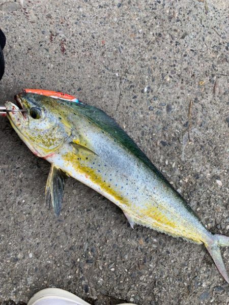 午後からちょい投げ