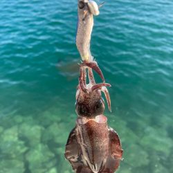 エギングランガン