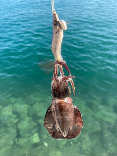 エギングランガン