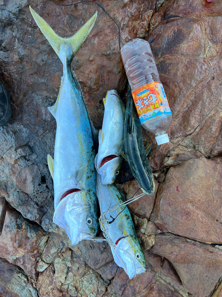 お鍋の季節がやってきました〜。今夜はぶりしゃぶ❤️