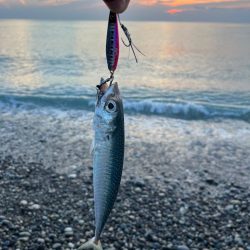 ジグとアクションを変えて本命ゲット