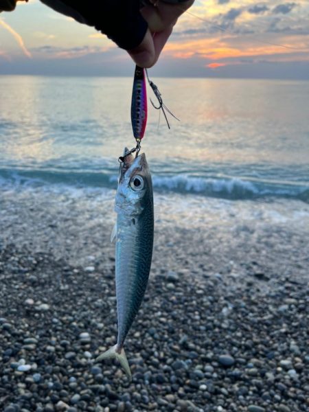 ジグとアクションを変えて本命ゲット