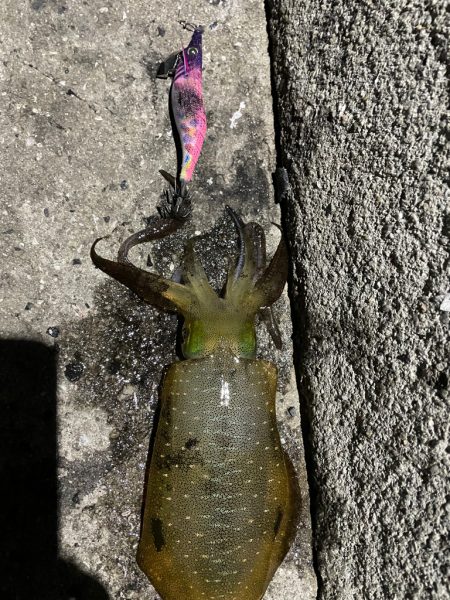 仕事終わり短時間勝負！！