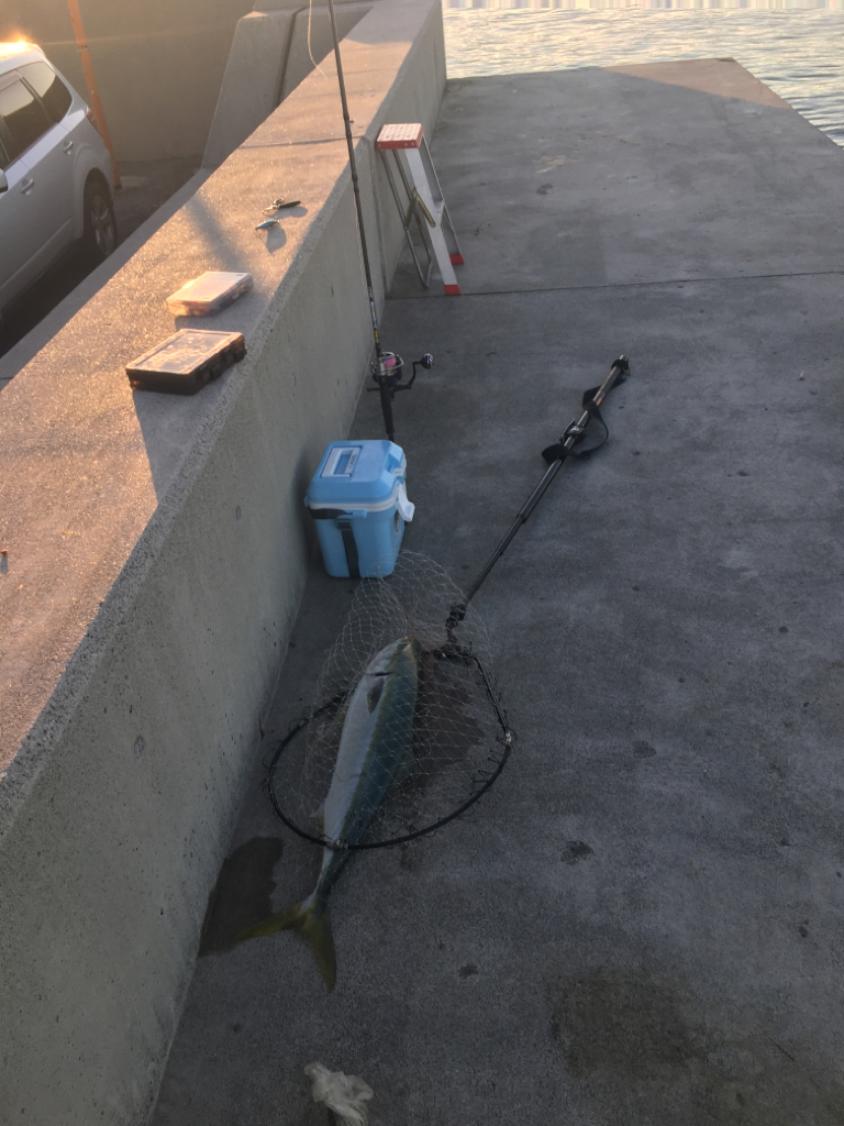 自己最高80センチオーバー