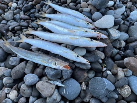 困った時のジギングサビキ