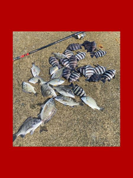 寒暖差がありましたが朝は比較的暖かい日にな…