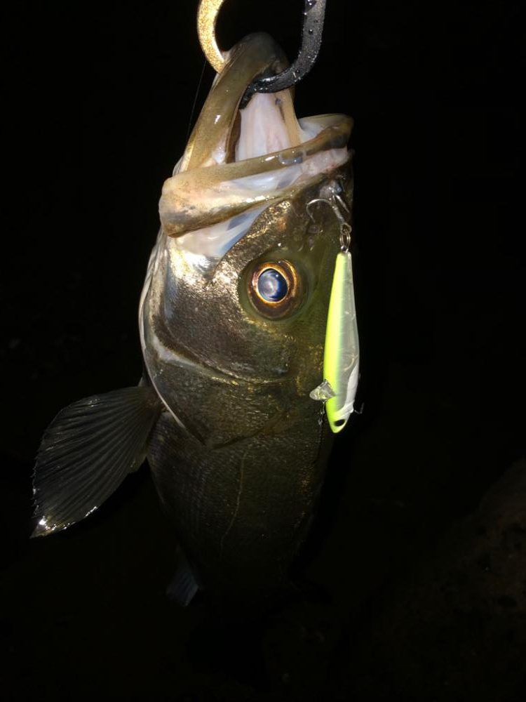 いるけど口を使わない