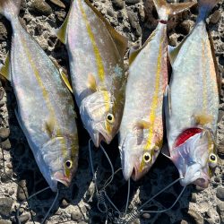 夢はネイリスト