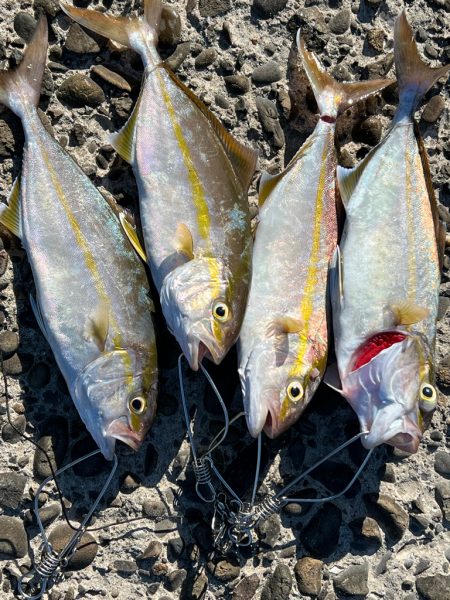 夢はネイリスト