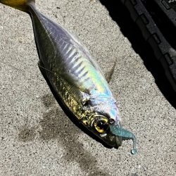 仕事終わりのナイトアジング