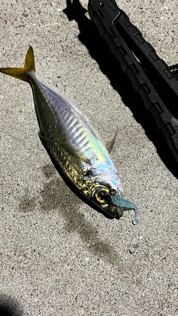 仕事終わりのナイトアジング