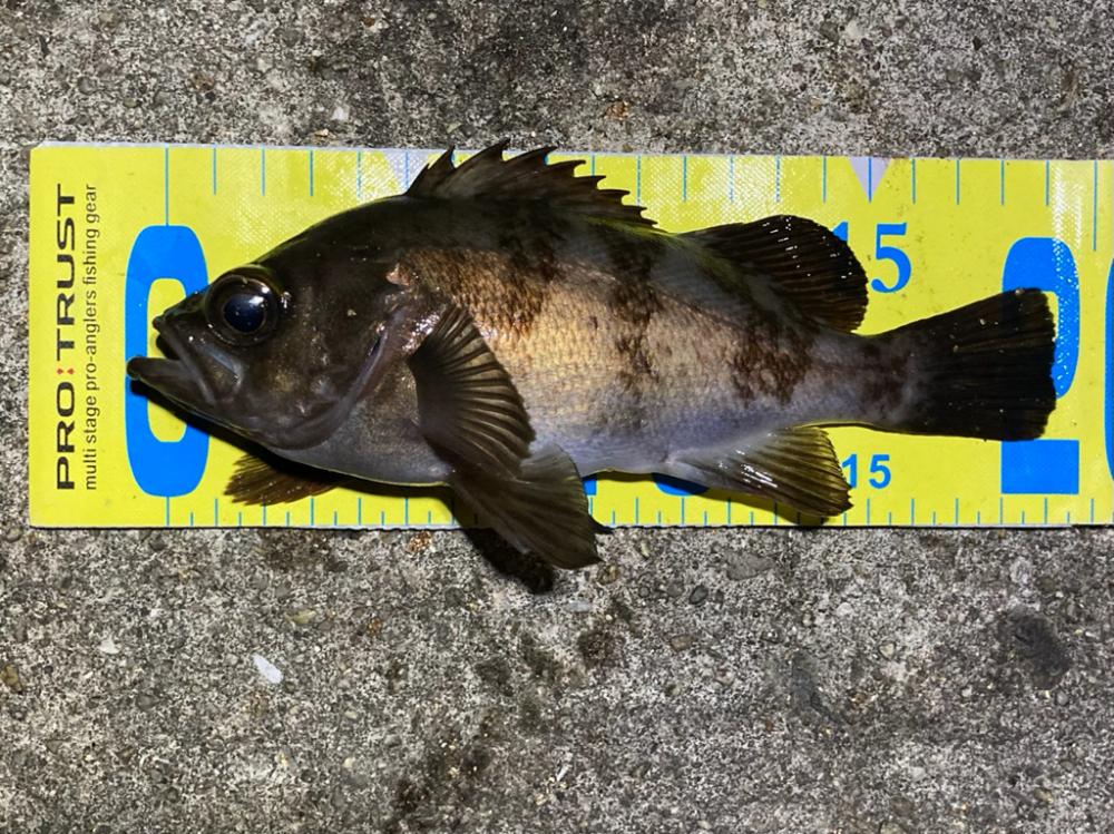 ライトゲーム明石周辺