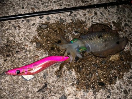 風が強い、うねりが強い時こそ墨族柔！