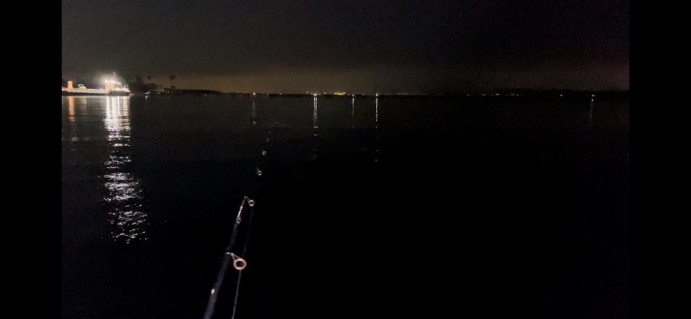 短時間でなんとか1匹