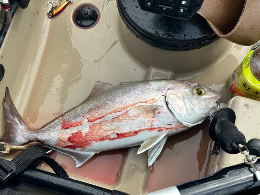 逃した魚が一番デカかった❗️