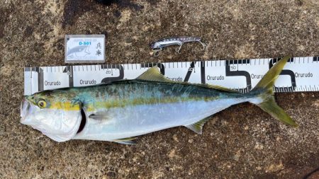 大阪北港青物祭り！