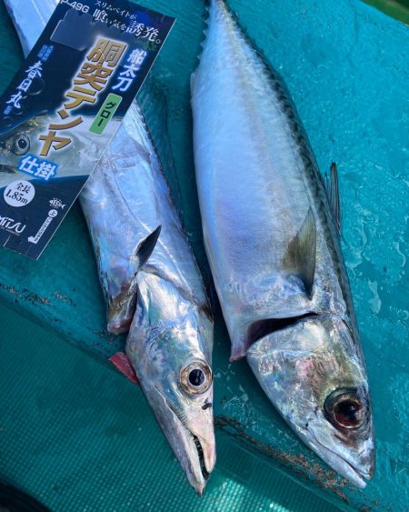 船タチウオテンヤ