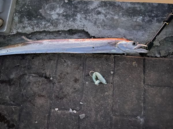 シマノ史上最高のドラグ音との噂を聞きバイオ…