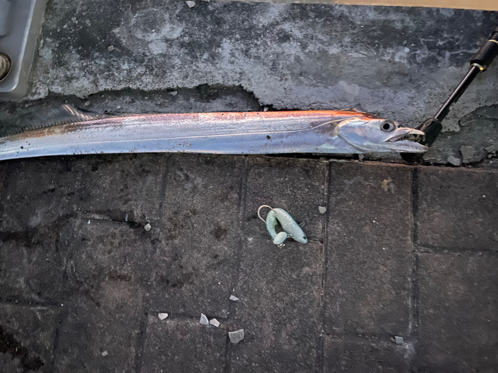 シマノ史上最高のドラグ音との噂を聞きバイオマスターのテストへ