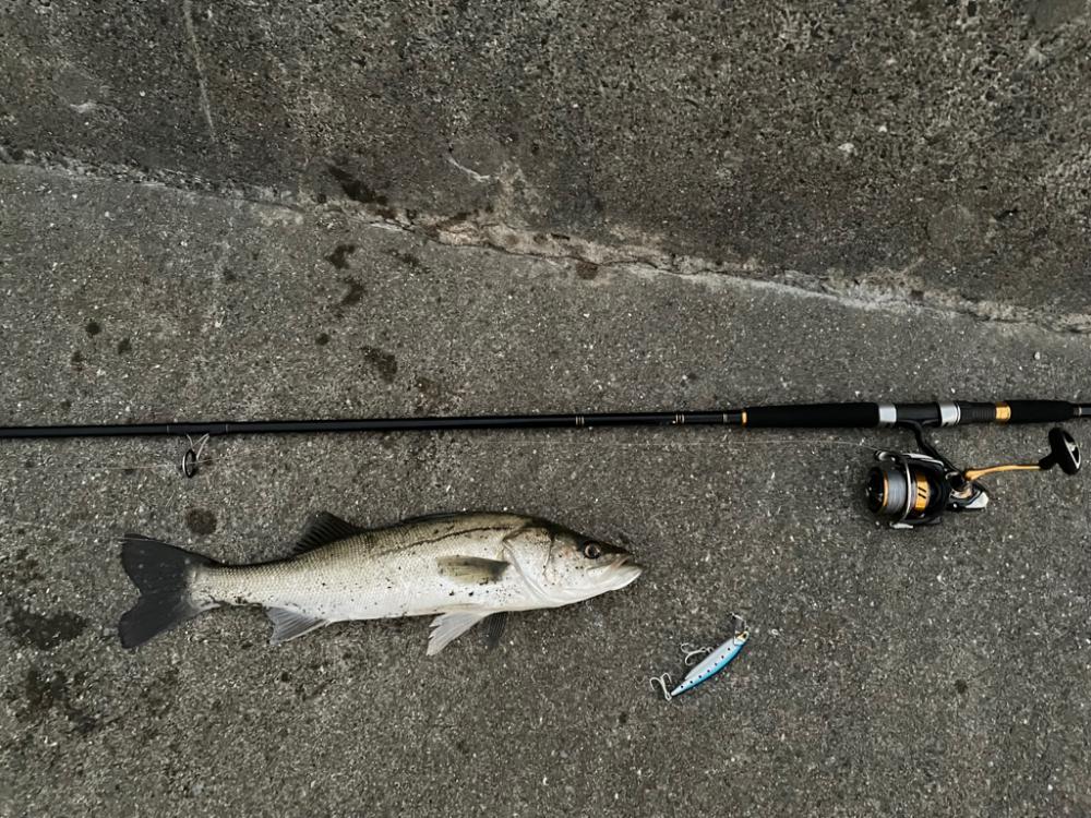 釣りパイセンやべー