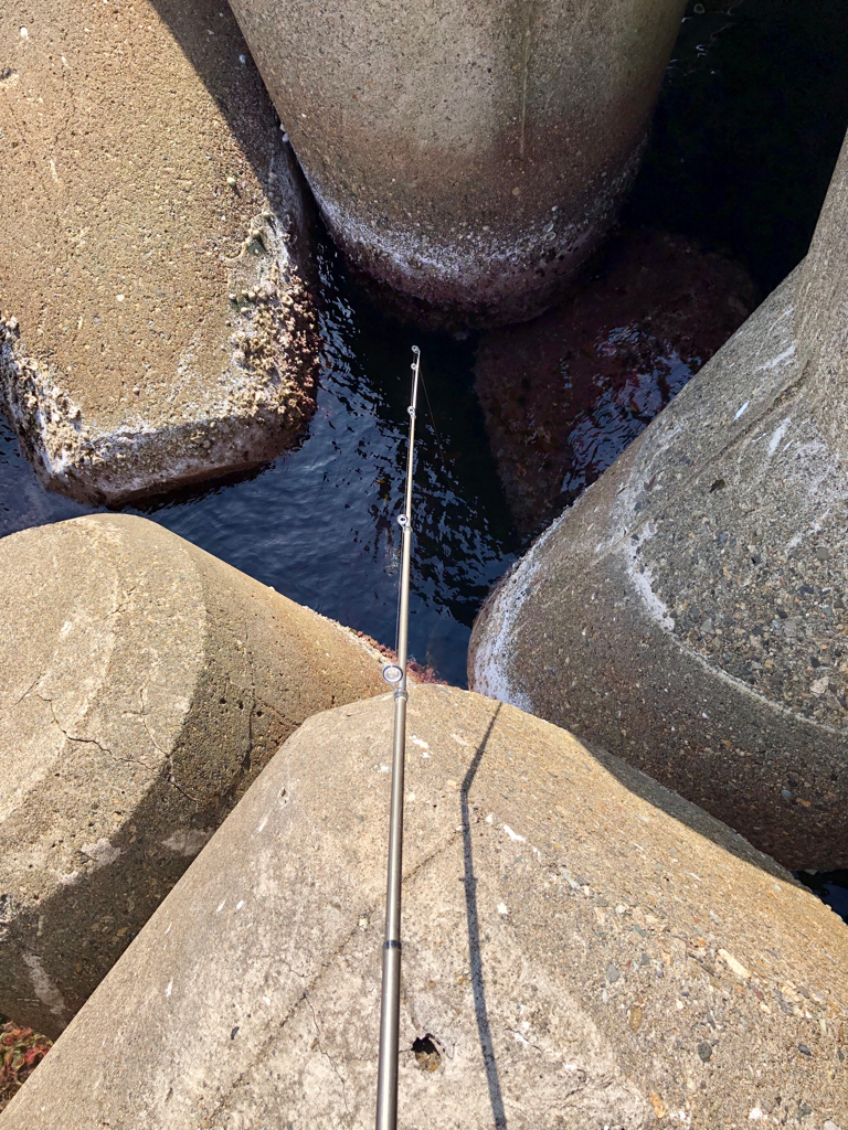 久しぶりの穴釣り