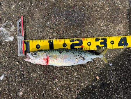 ショアジギング坊主回避