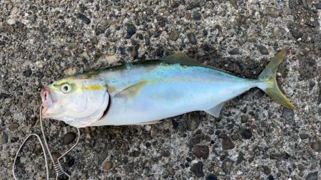 淡路島ショアジギング