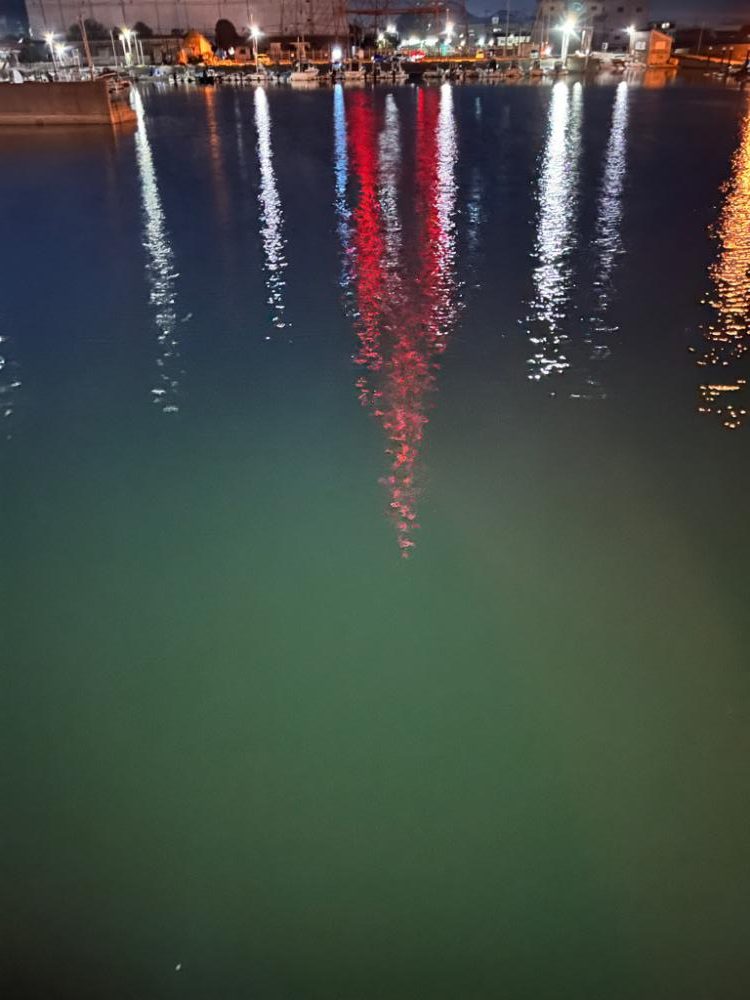 アジは何処へ？