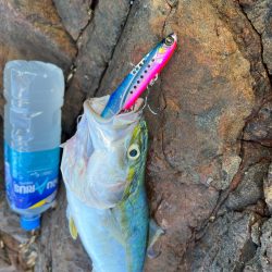 ジャックアイ❤️…