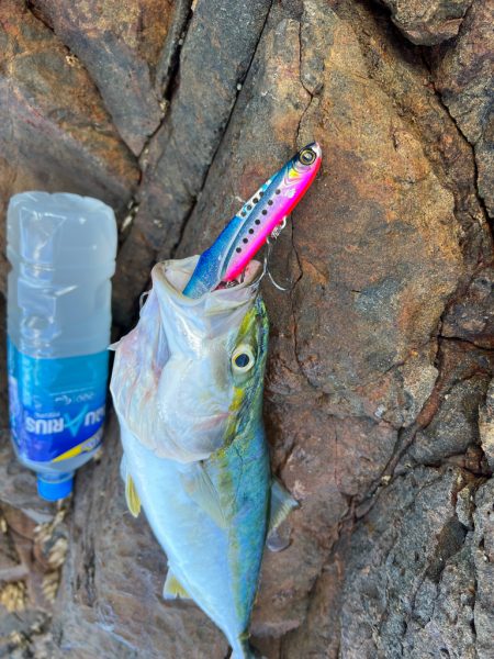 ジャックアイ❤️…