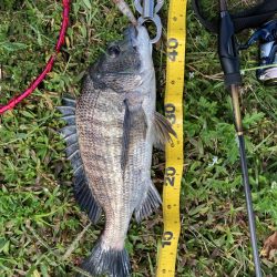 スーパーライトチニング