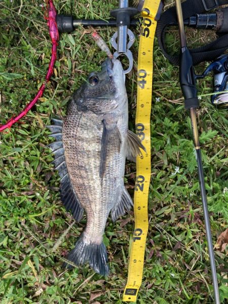 スーパーライトチニング