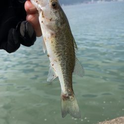 人工島は秋モード？？