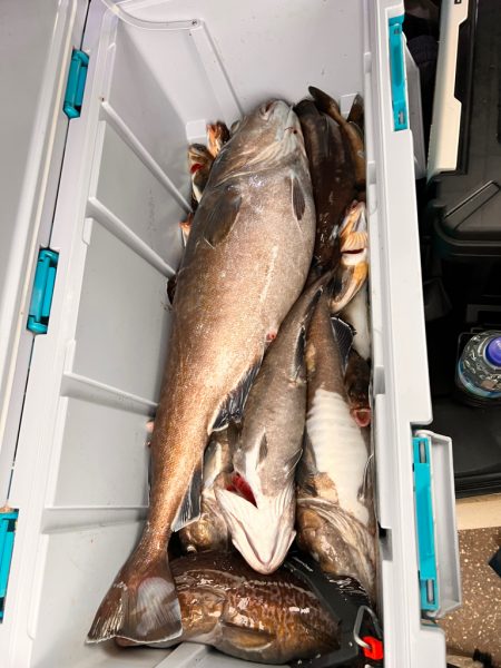 オフショア五目釣り