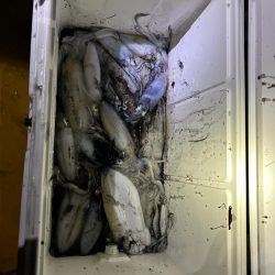 初ティップラン