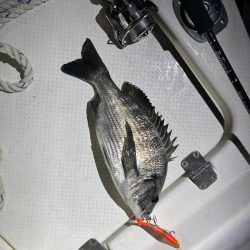 違う、そうじゃない。