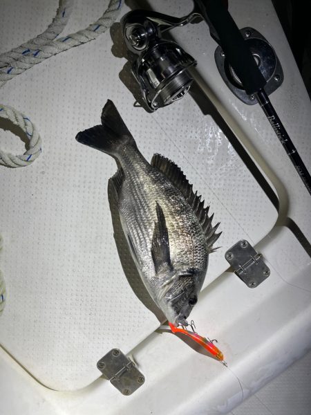 違う、そうじゃない。