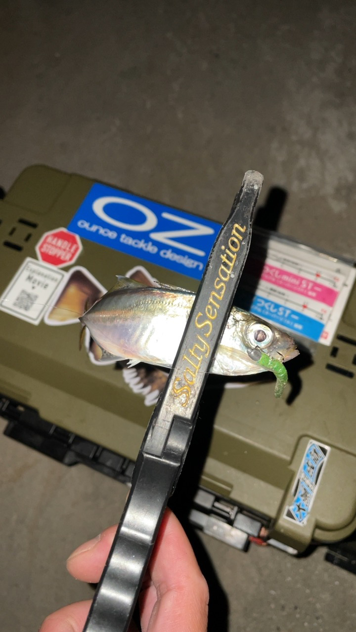 オンスタックルアジつくしSTモニター