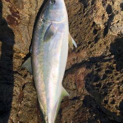 人が多い中出した一匹