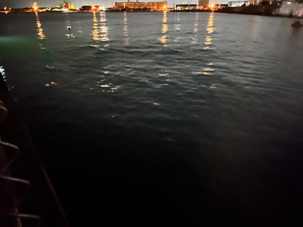 おにゅーなロッドで出撃!!