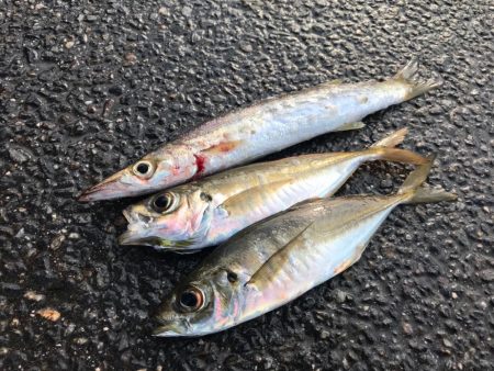 期待してたのに…😢