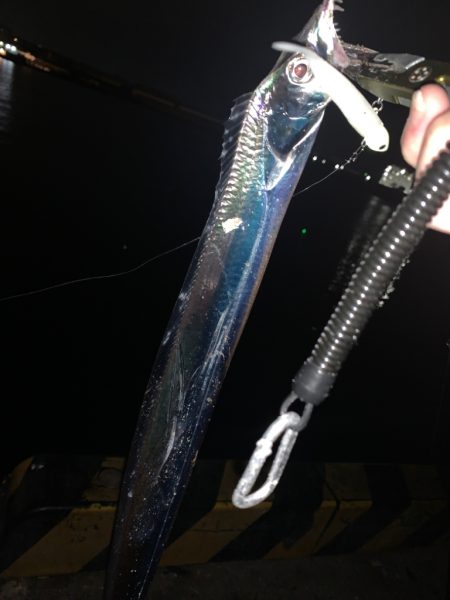 台風明け　激渋！